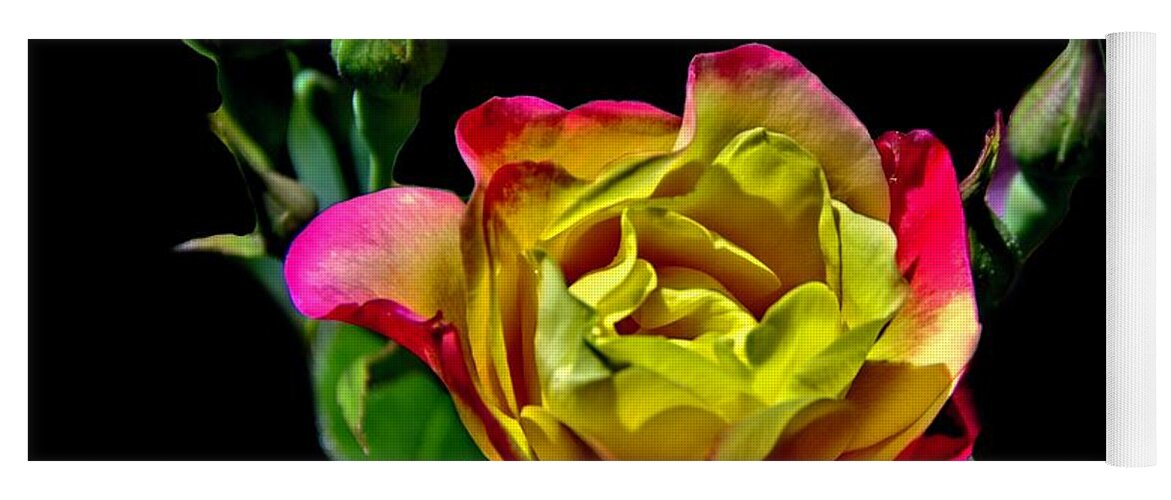 Rose Yoga Mat featuring the photograph A Rose for You by Allen Nice-Webb