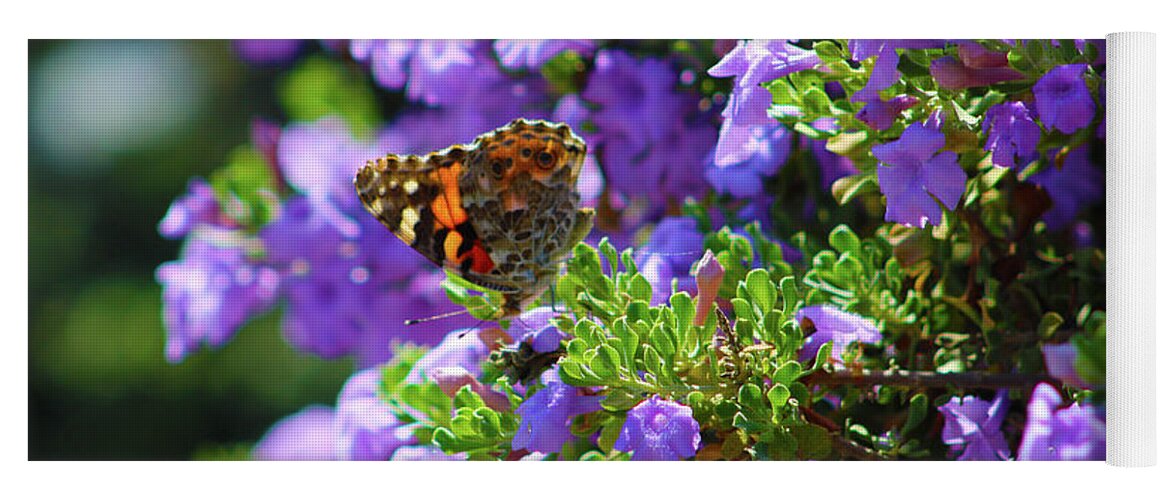 Butterfly Yoga Mat featuring the photograph A Sea of Purple by Marcus Jones