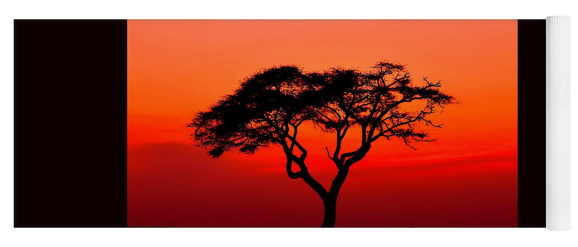 Africa Yoga Mat featuring the photograph A Solitary Acacia Tree in the African Sunset by Mitchell R Grosky