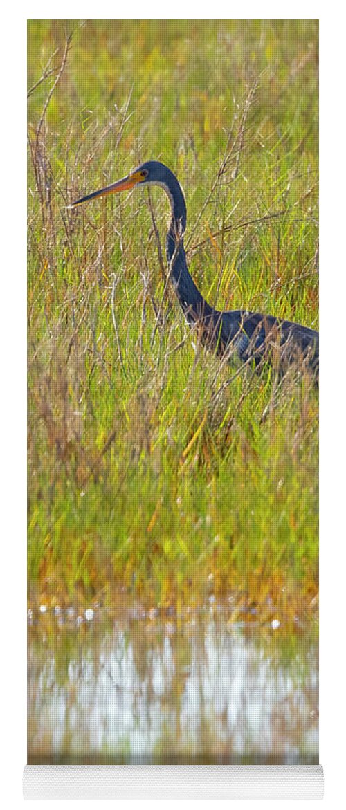 R5-2669 Yoga Mat featuring the photograph A Youngster out in the Grasslands by Gordon Elwell