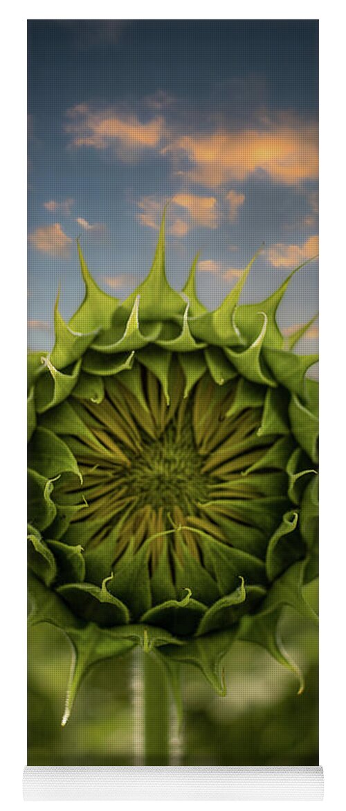 Sunflower Yoga Mat featuring the photograph About To Pop Out by Rick Nelson