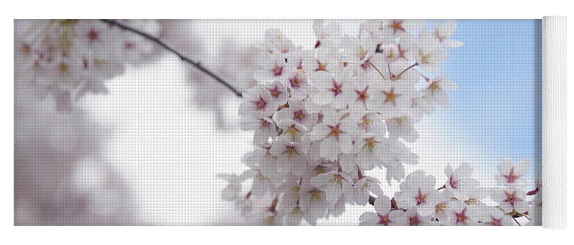 Jenny Rainbow Fine Art Photography Yoga Mat featuring the photograph Abundant Blooms of Yoshino Cherry - Clusters of Flowers 2 by Jenny Rainbow