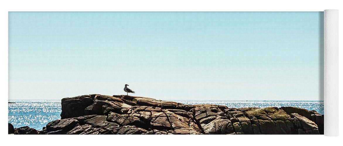 Birds Yoga Mat featuring the photograph Acadia National Park Seagull by Amelia Pearn