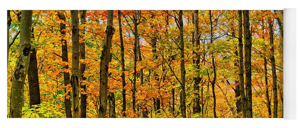 Nature Yoga Mat featuring the photograph Adirondack Autumn by Judy Cuddehe