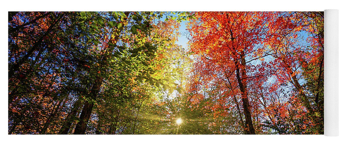 Fall Yoga Mat featuring the photograph Adirondacks Autumn at Rich Lake 8 by Ron Long Ltd Photography