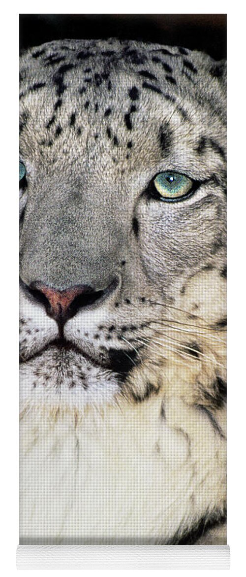 Dave Welling Yoga Mat featuring the photograph Adult Snow Leopard Panthera Uncia Wildlife Rescue by Dave Welling