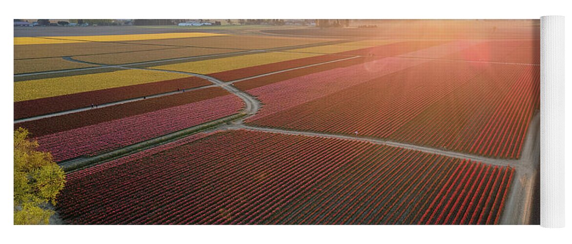 Skagit Yoga Mat featuring the photograph Aerial Tulips1 by Michael Rauwolf