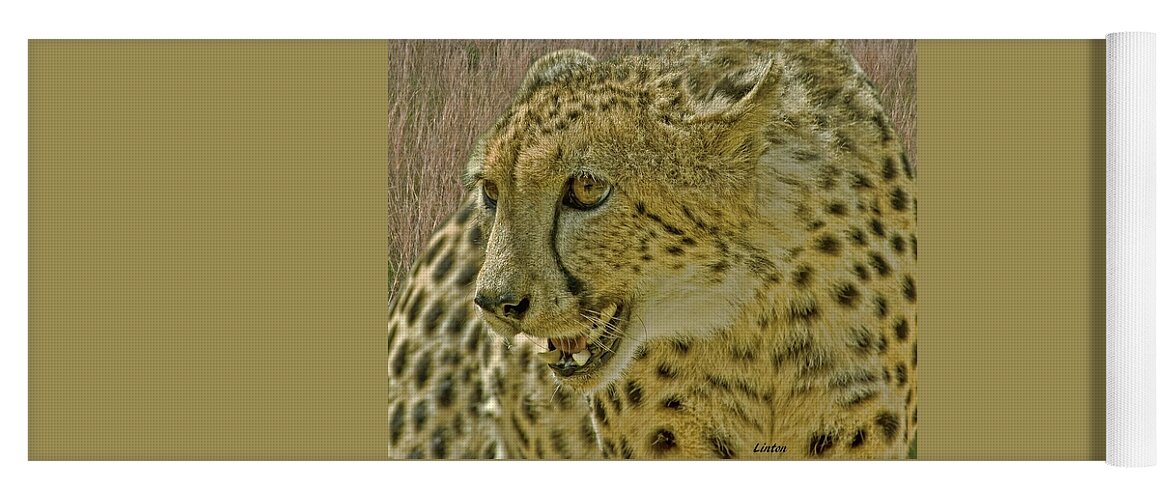 Cheetah Yoga Mat featuring the photograph African Cheetah 8 by Larry Linton