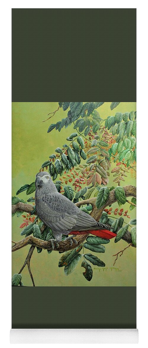 African Grey Parrot Yoga Mat featuring the painting African Grey Parrot by Barry Kent MacKay