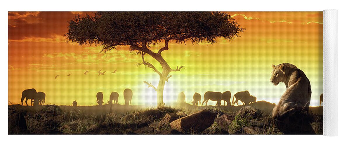Africa Yoga Mat featuring the photograph African Safari Sunset Scene With Lioness by Good Focused