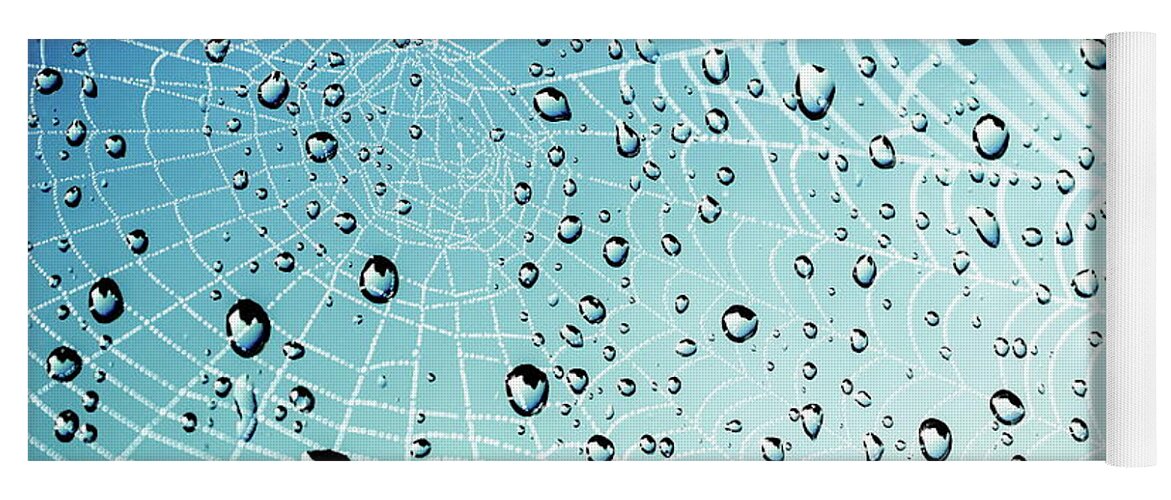 Cobweb Yoga Mat featuring the photograph After the Rain Cobwebs by Andrea Kollo
