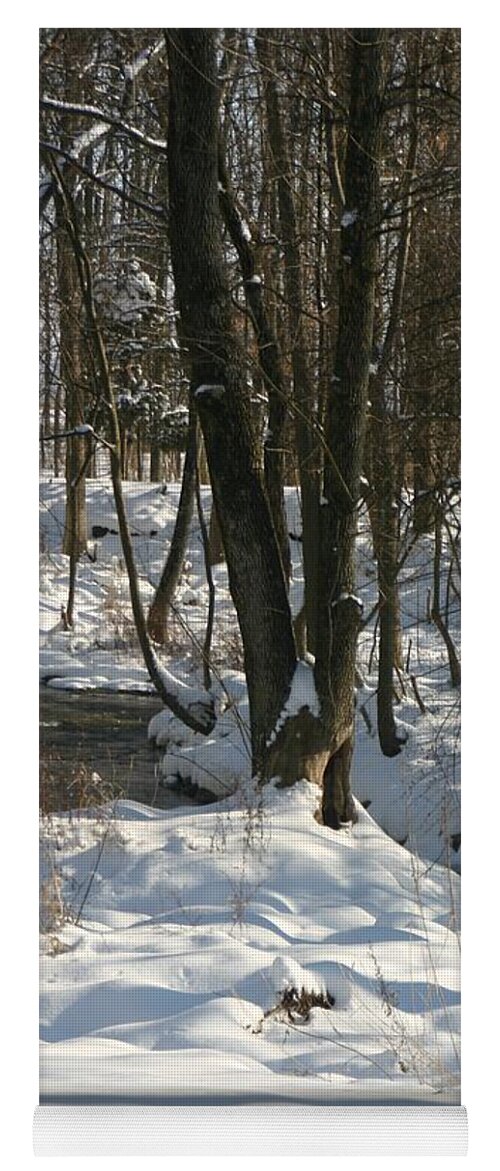Winter Yoga Mat featuring the photograph After the Snow Storm by Dr Debra Stewart