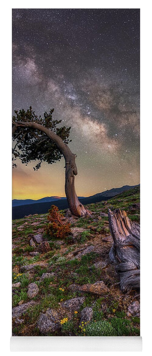 Trees Yoga Mat featuring the photograph Aged By Time by Darren White