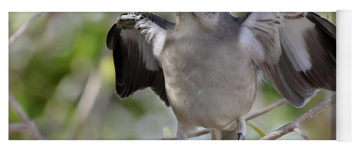 Northern Mockingbird Yoga Mat featuring the photograph Aggressive by RD Allen