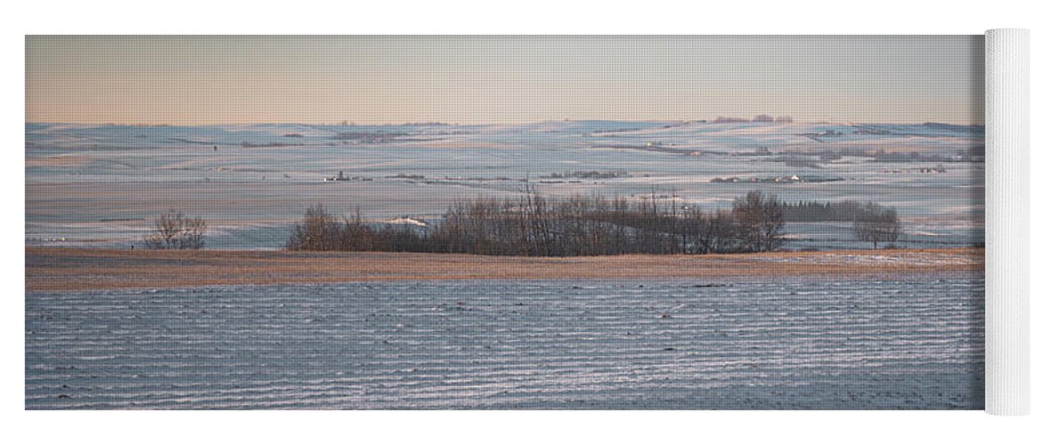 Agriculture Yoga Mat featuring the photograph Alberta winter wheat farm landscape by Karen Rispin