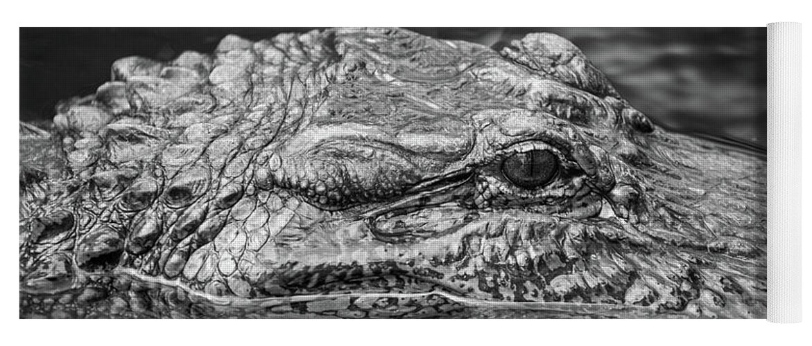 Alligator Yoga Mat featuring the photograph Alligator Eye by Kimberly Blom-Roemer