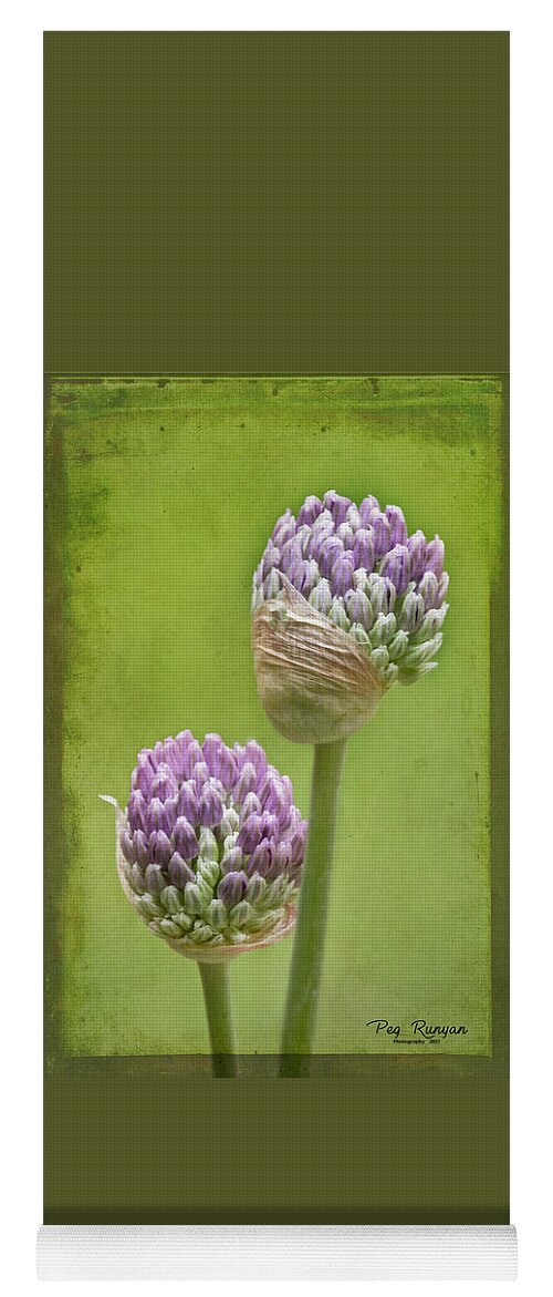 Onion Flower Yoga Mat featuring the photograph Allium Arrives by Peg Runyan