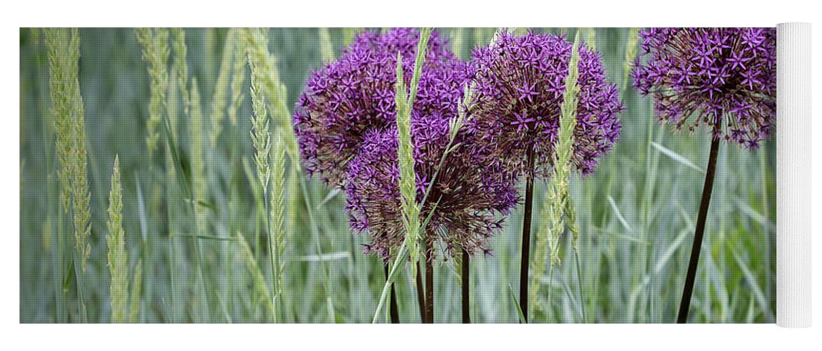 Dow Gardens Yoga Mat featuring the photograph Allium in the Weeds by Robert Carter