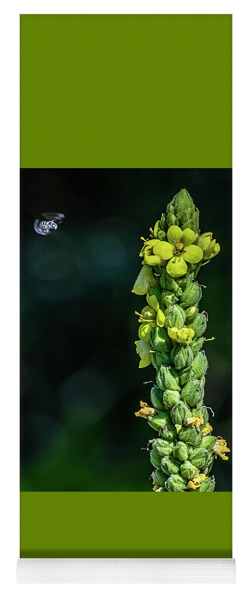 Fly Yoga Mat featuring the photograph Almost There by Len Bomba