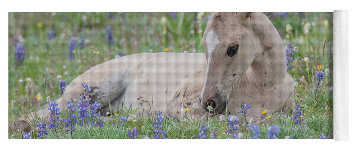 Wild Mustangs Yoga Mat featuring the photograph Alpine Spring Meadow by Marcy Wielfaert