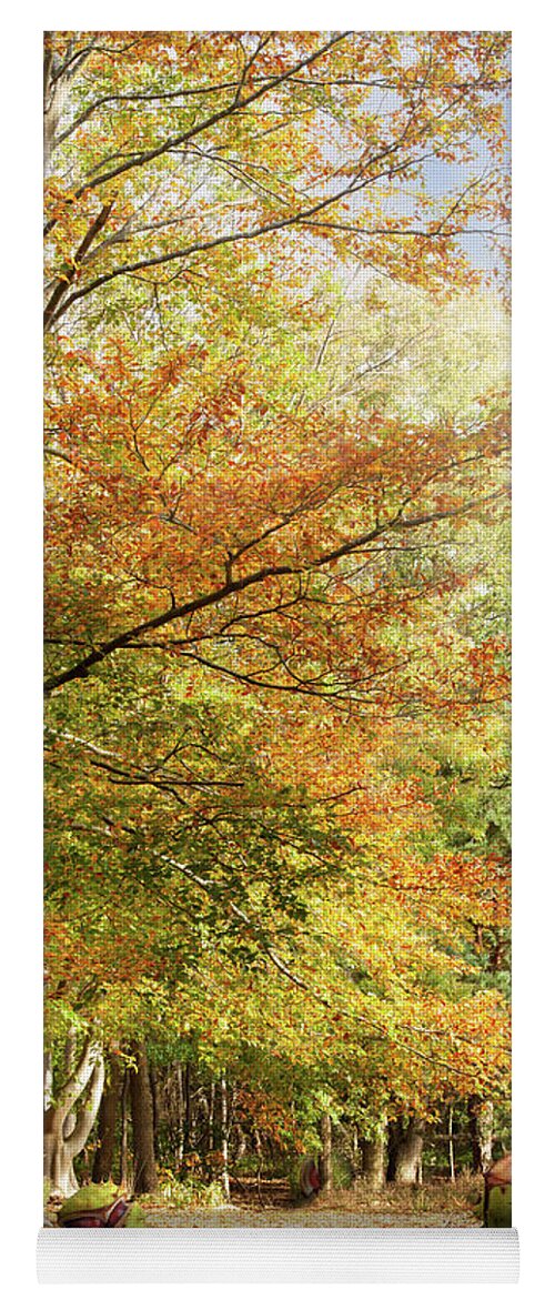 Autumn; Landscape; Fall; Conkers; Forest; Woodland; Leaves; Trees; Beach Tree; Sun; Beautiful; Branches; Scenic; Dense; Norfolk; Season; Dawn; Seasonal; Woods; Outside; Morning; Outdoors; Enchanted; Sunlight; Foliage; Fresh; Golden; Leaf; Light; Rural; Magical; Nature; Nobody; November; Orange; Park; Parkland; Peaceful; Red; Relaxing; Stunning; Sunshine; Trunk; Wild; Composite; Fun; Digital Art; Art; Snettisham; England; Artwork; Surreal Yoga Mat featuring the photograph Amazing dawn autumn woodland with massive conkers by Simon Bratt
