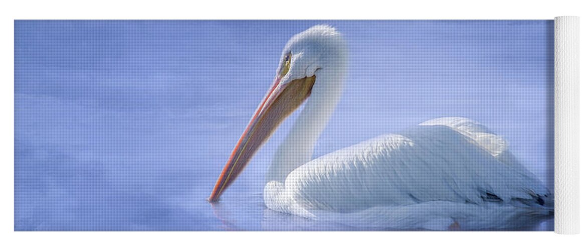 American White Pelican Yoga Mat featuring the photograph American White Pelican Daydreaming by Debra Martz