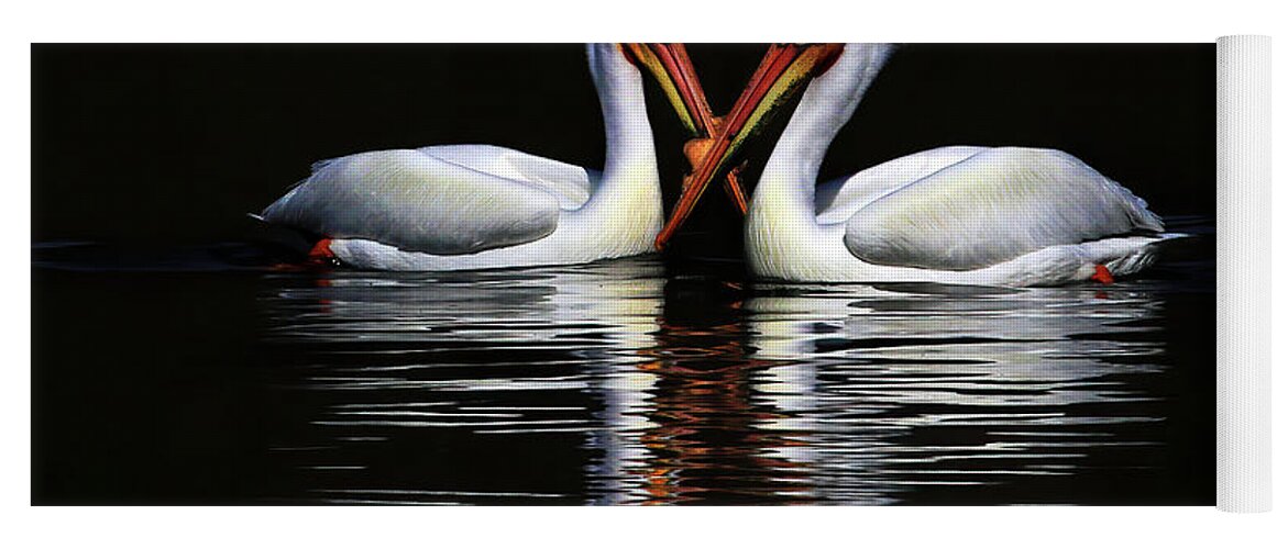 American White Pelican Yoga Mat featuring the photograph American White Pelicans by Shixing Wen