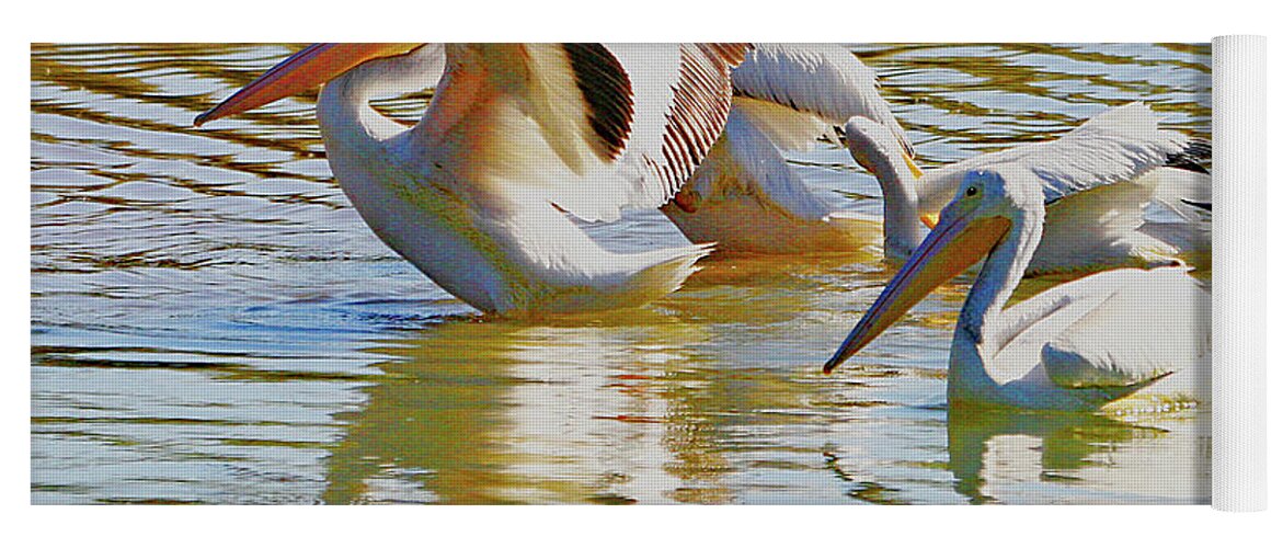 American White Pelicans Yoga Mat featuring the digital art American White Pelicans by Tom Janca