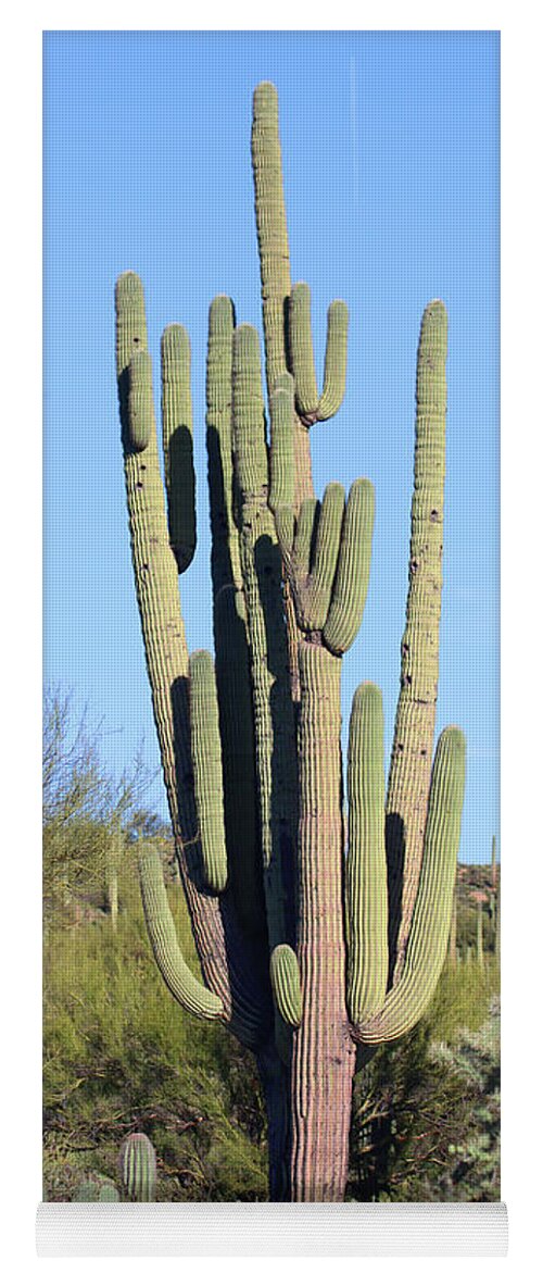  An Arizona Giant Saguaro Cactus Yoga Mat featuring the digital art An Arizona Giant Saguaro Cactus by Tom Janca