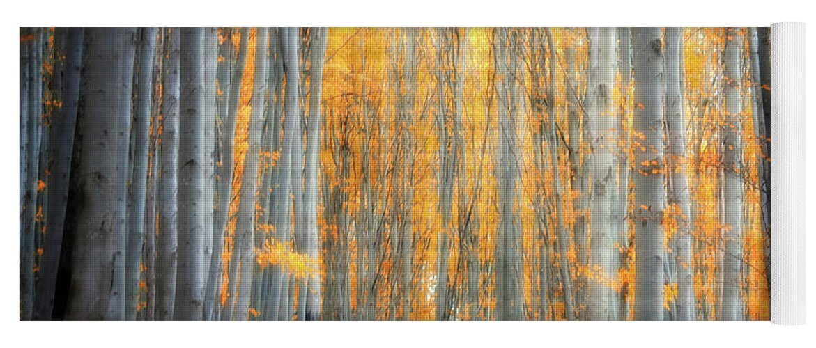 Autumn Yoga Mat featuring the photograph An Autumn in the Forest by Philippe Sainte-Laudy