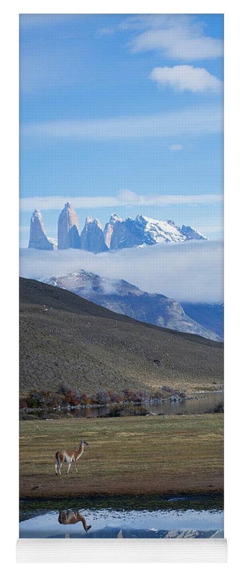 Andes Yoga Mat featuring the photograph Andes and Guanaco by Patrick Nowotny