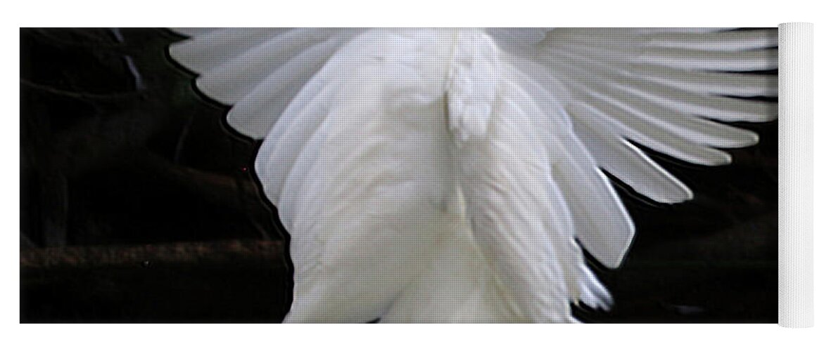 Egret Yoga Mat featuring the photograph Angel Wings Egret by Perry Hoffman