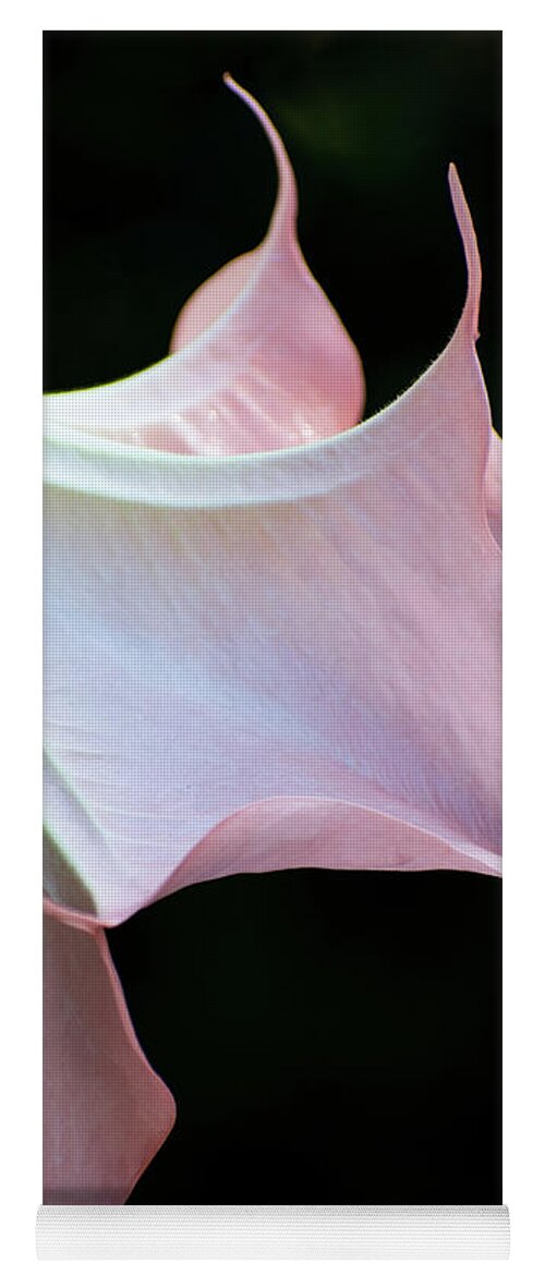 Angel's Trumpet Yoga Mat featuring the photograph Angel's Trumpet by Mary Ann Artz
