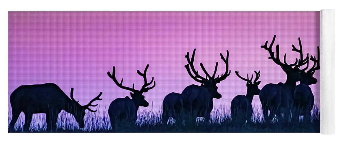 Bull Elk Yoga Mat featuring the photograph Antlers At Dawn by Gary Beeler