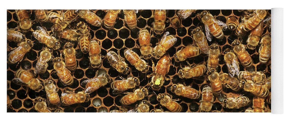 Bee Yoga Mat featuring the photograph Apiary - Bee - All hail the queen by Mike Savad