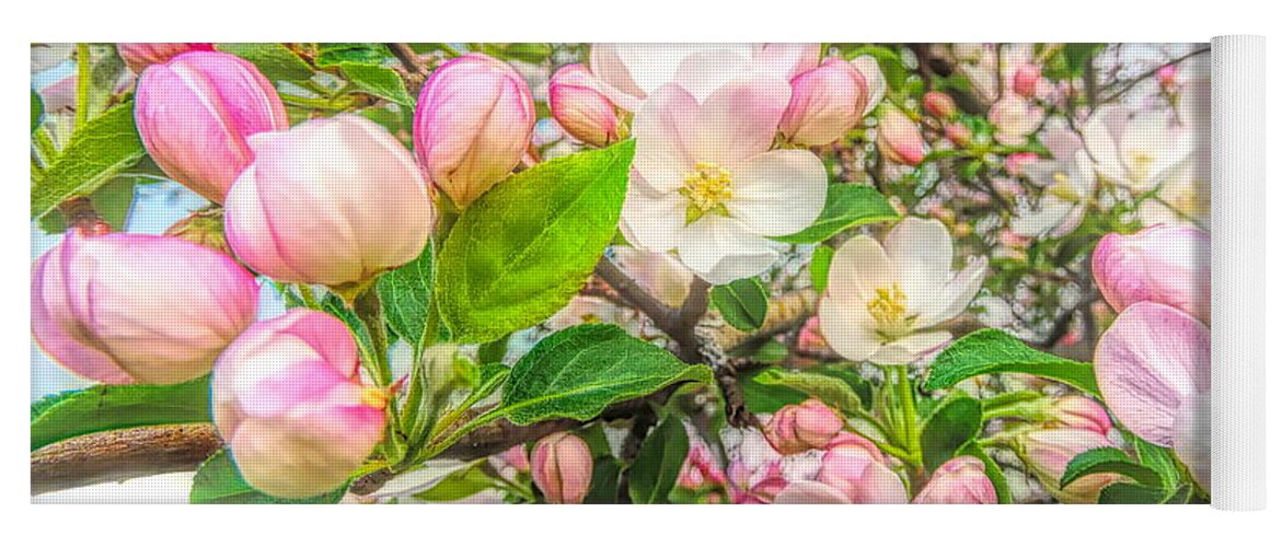 Apple Blossom Yoga Mat featuring the photograph Apple Blossoms by Susan Hope Finley