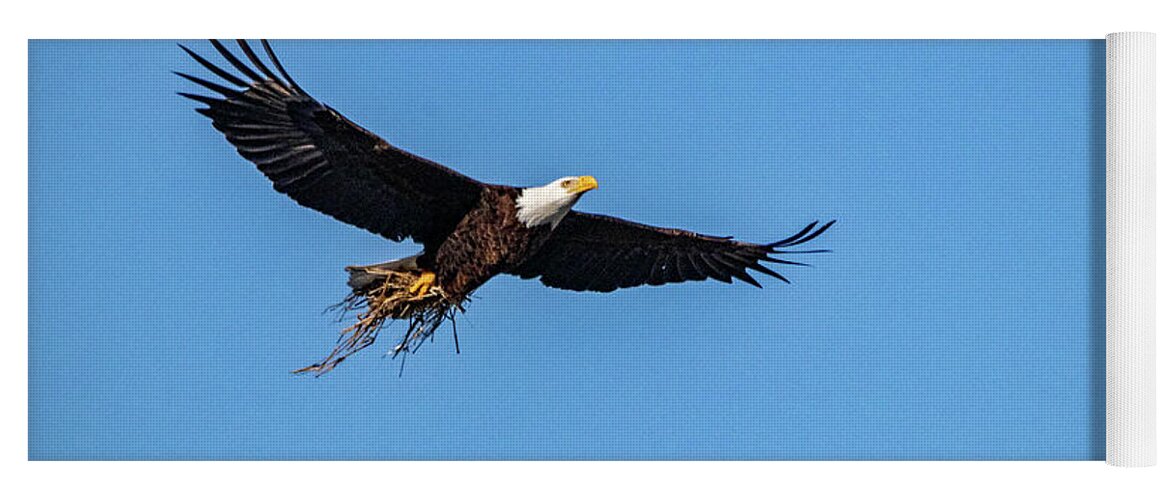 Eagle Yoga Mat featuring the photograph Approaching the Nest by Ira Marcus