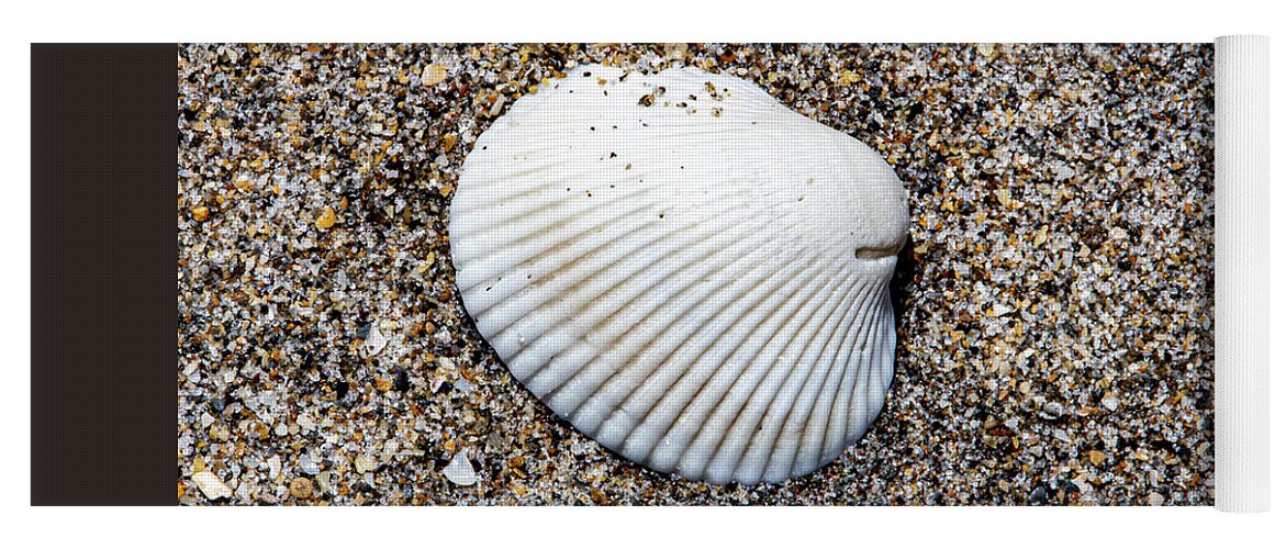 Shell Yoga Mat featuring the photograph Ark Clam Shell by Blair Damson