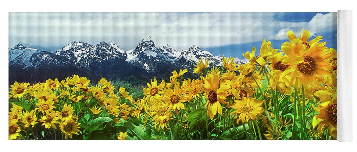Dave Welling Yoga Mat featuring the photograph Arrowleaf Balsamroot Grand Tetons National Park Wyoming by Dave Welling