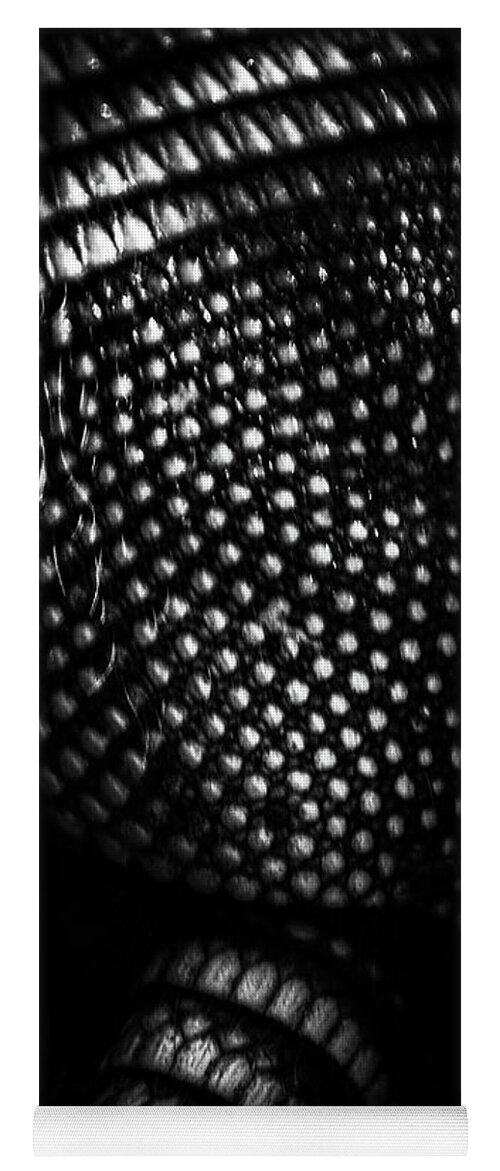 Black & White Yoga Mat featuring the photograph Artful Armor by Vicky Edgerly