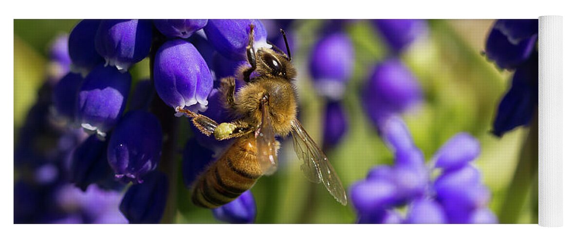 Bee Yoga Mat featuring the photograph Honey Bee by David Beechum