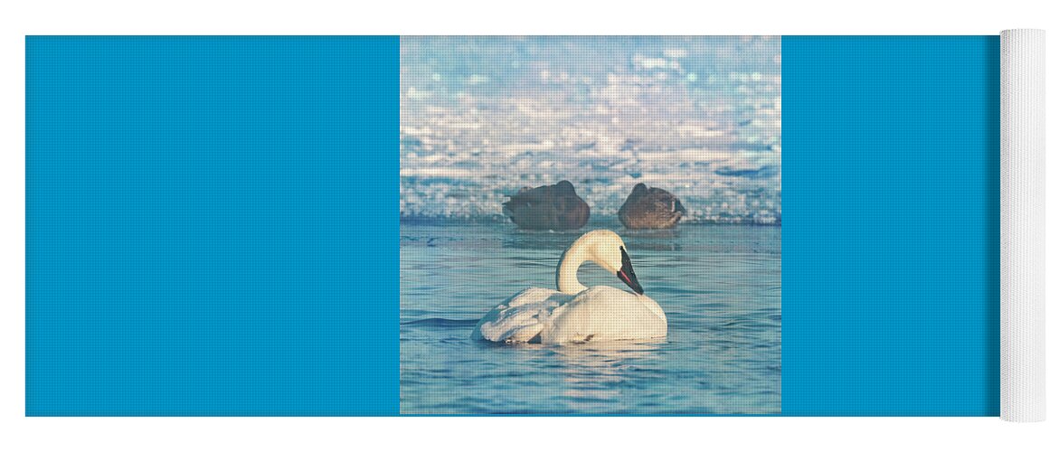 Trumpeter Yoga Mat featuring the photograph Trumpeter Swan Waking with Two Ducks by Patti Deters