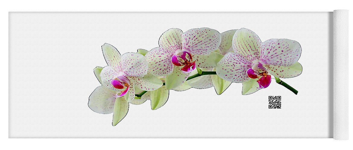 Orchids Yoga Mat featuring the mixed media As Delicate as You by Rafael Salazar