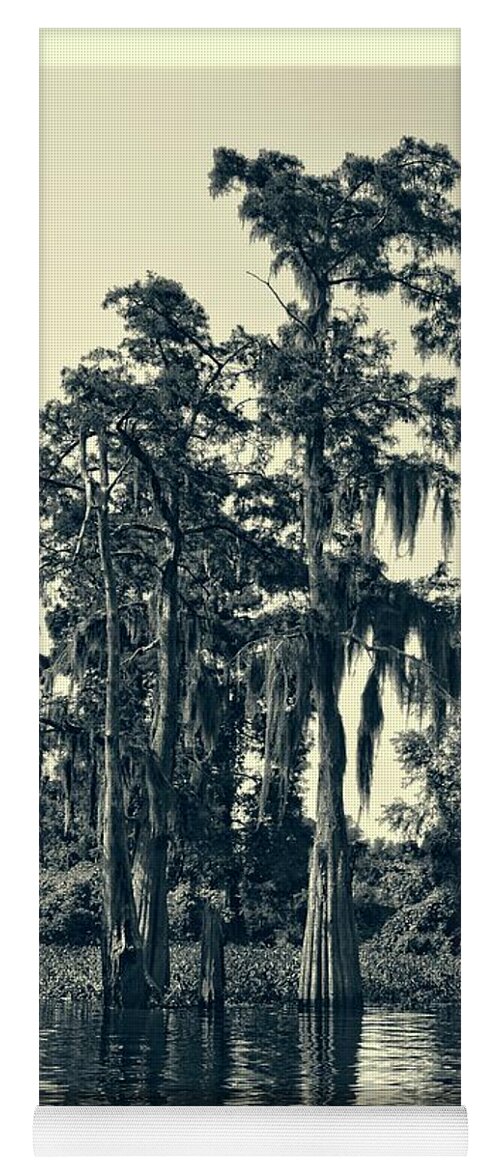 Tree Yoga Mat featuring the photograph Atchafalaya Basin Southern Louisiana 2021 Ambrotype 95 by Maggy Marsh