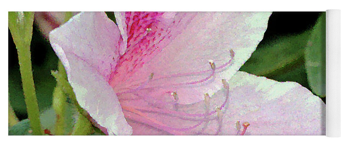 Azalea; Rhododendron; Flower; Augusta; Augusta National; Georgia; Pink; The Masters; Yoga Mat featuring the photograph Augusta Azalea by Tina Uihlein
