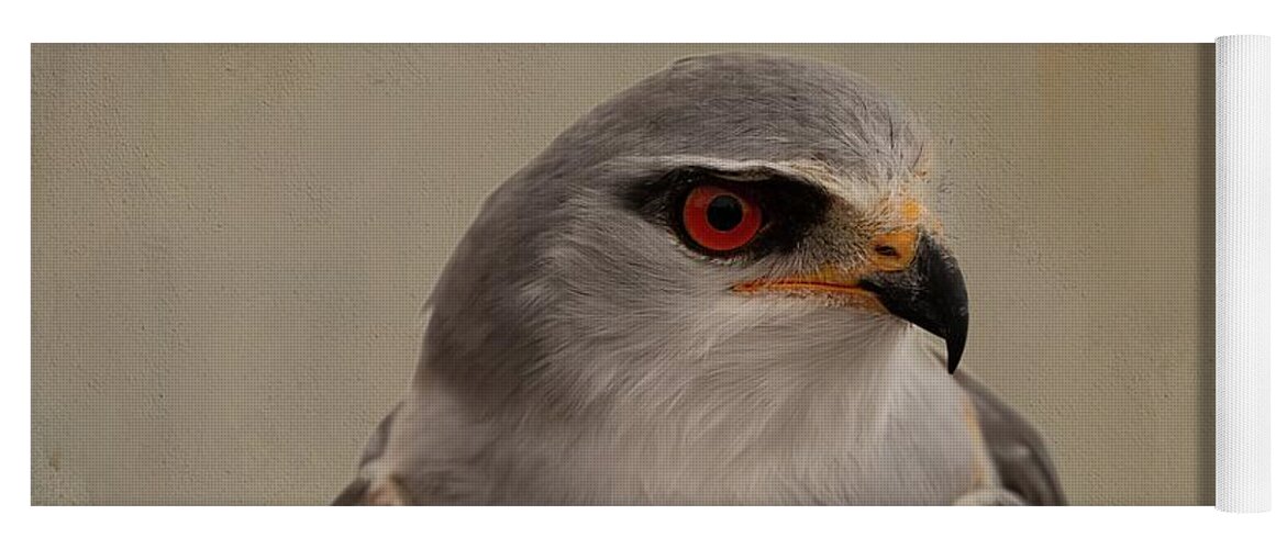 Black-shouldered Kite Yoga Mat featuring the photograph Australian Black-shouldered Kite by Eva Lechner