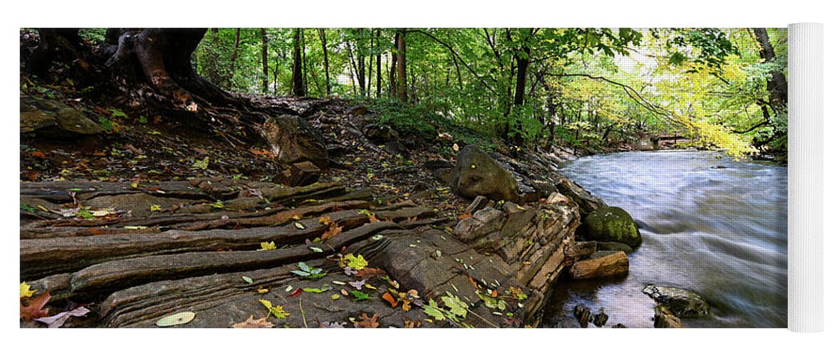 Autumn Yoga Mat featuring the photograph Autumn Along the Bronx River by Kevin Suttlehan