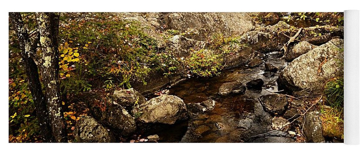 Landscape Yoga Mat featuring the photograph Autumn at Dry Creek by Larry Ricker