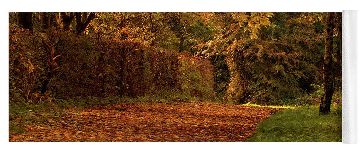 Nature Yoga Mat featuring the photograph Autumn bridal path by Stephen Melia