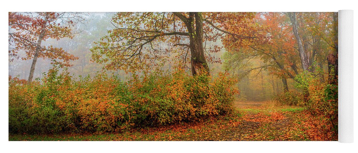 Autumn Yoga Mat featuring the photograph Autumn Colors 0901 by Greg Hartford